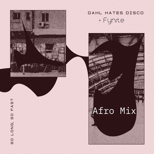 Dahl Hates Disco, Fynite - So Long, So Fast (Afro Mix) [sw-072]